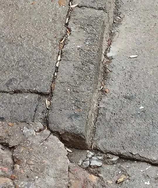 Foto 3 - Vecinos de la calle &Aacute;lamo Chico reclaman mejoras en la v&iacute;a  