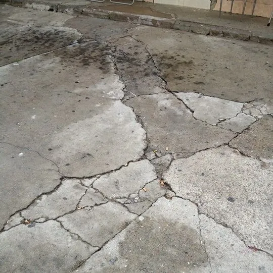 Vecinos de la calle Álamo Chico reclaman mejoras en la vía  
