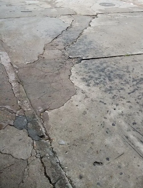 Foto 2 - Vecinos de la calle &Aacute;lamo Chico reclaman mejoras en la v&iacute;a  