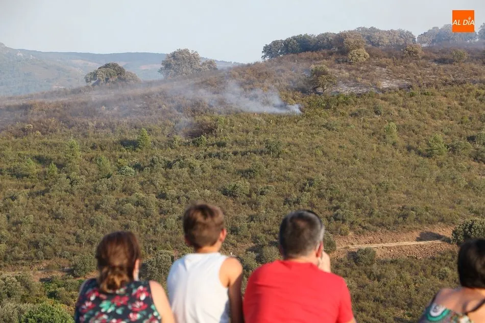Foto 11 - El gran incendio entre Valdelageve y Sotoserrano calcina m&aacute;s de 30 hect&aacute;reas de monte