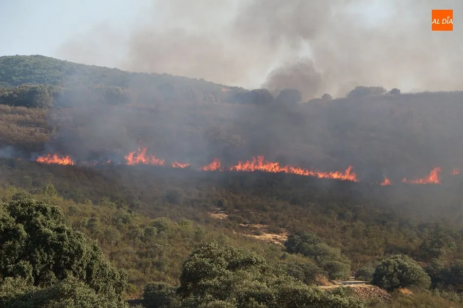 Foto 7 - El gran incendio entre Valdelageve y Sotoserrano calcina m&aacute;s de 30 hect&aacute;reas de monte
