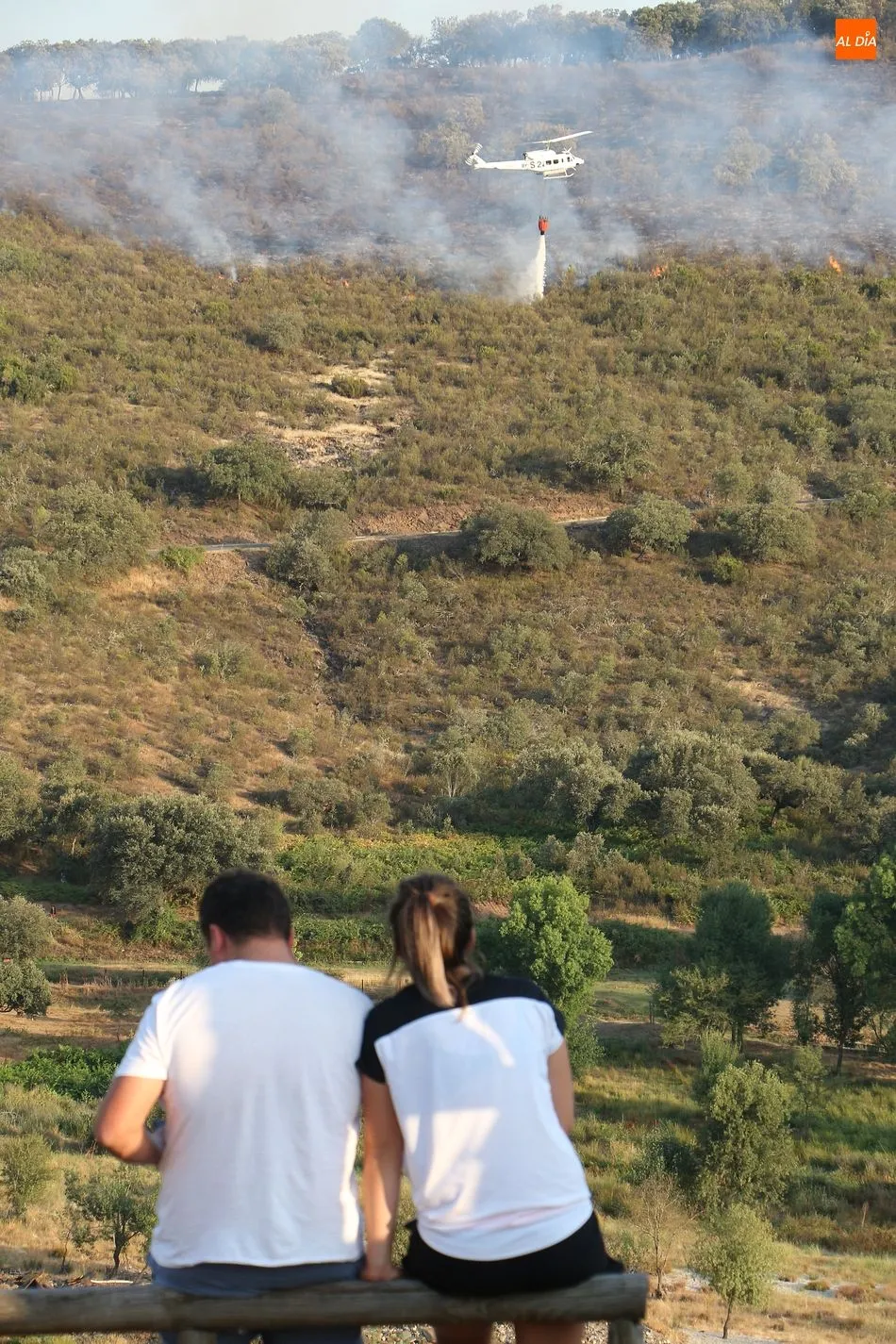 Foto 3 - El gran incendio entre Valdelageve y Sotoserrano calcina m&aacute;s de 30 hect&aacute;reas de monte