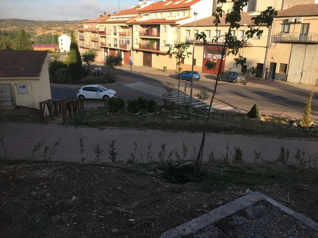Proyecto de plantación de la calle Sol Alta de Alba de Tormes