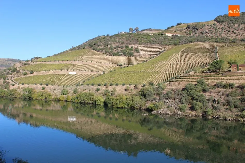 Foto 7 - El Hist&oacute;rico do Douro vuelve a las v&iacute;as el s&aacute;bado 1 de agosto  