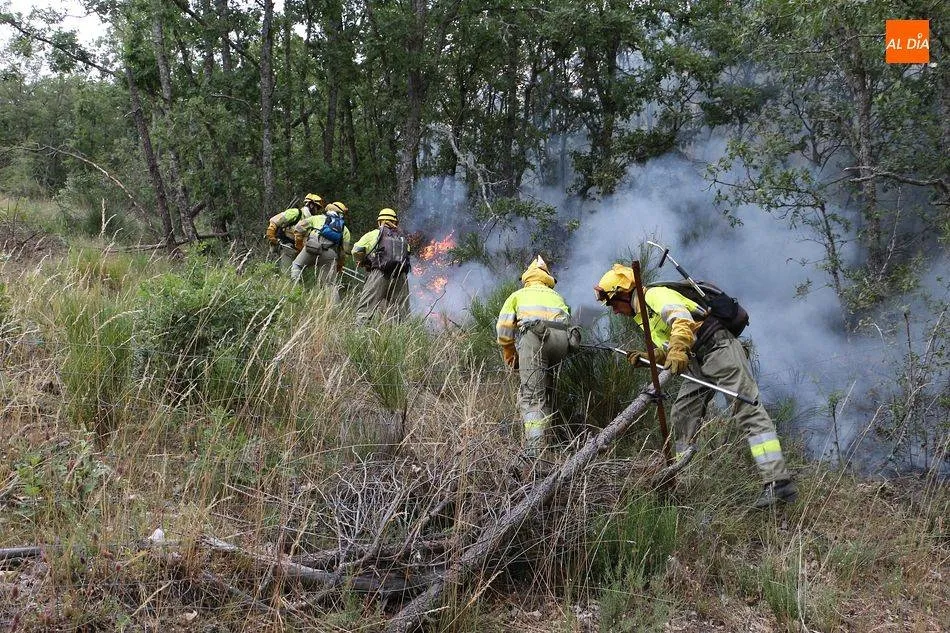 Imagen de archivo de un incendio forestal en la provincia salmantina