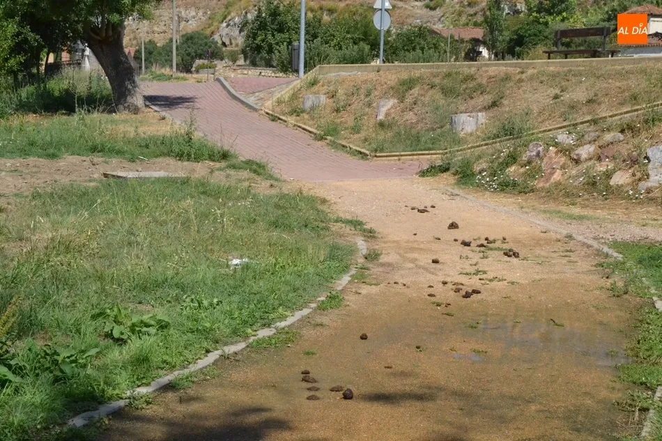 1Foto: Menudo recibimiento  