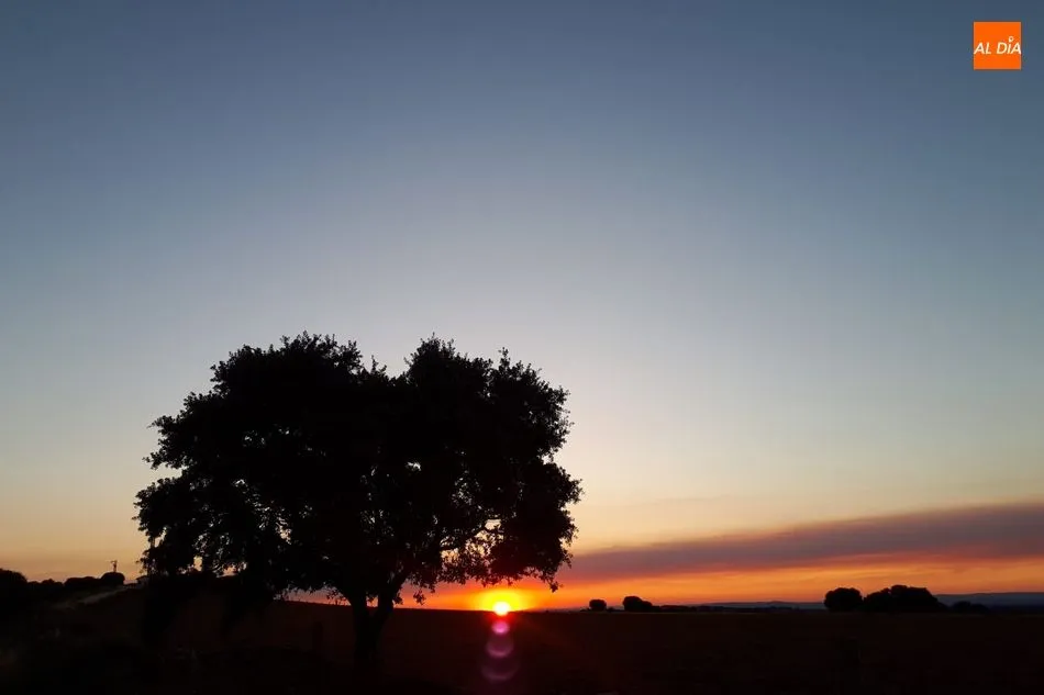 Desde el Púlpito de las Monjas, Ahigal de los Aceiteros  