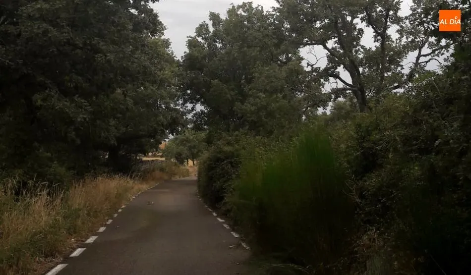 Estado de algunos puntos de la carretera que une Saldeana con Barreras, en el tramo de titularidad de Saldeana