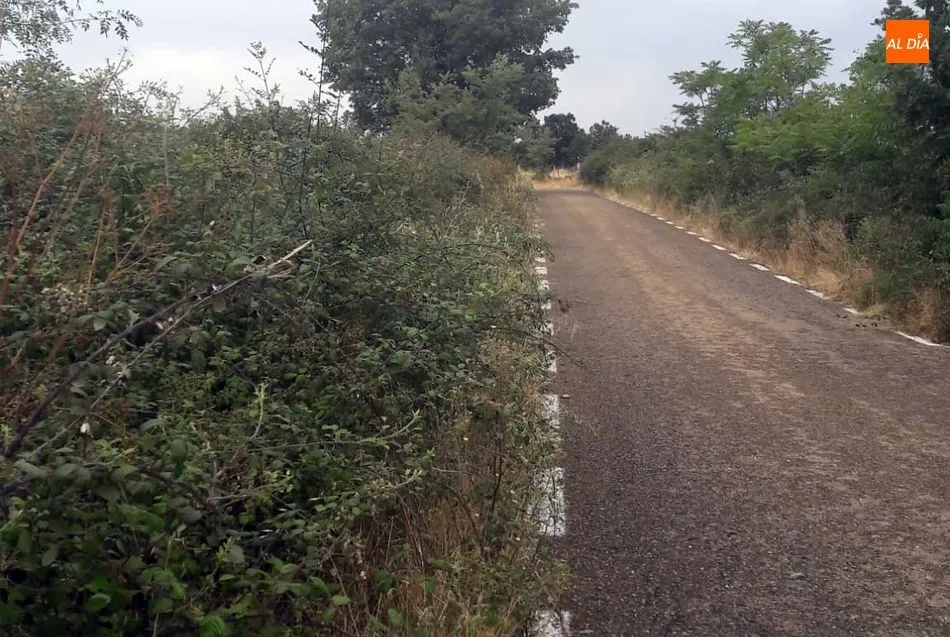 Foto 3 - El Ayuntamiento de Saldeana se olvida del tramo de carretera que los une con Barreras  
