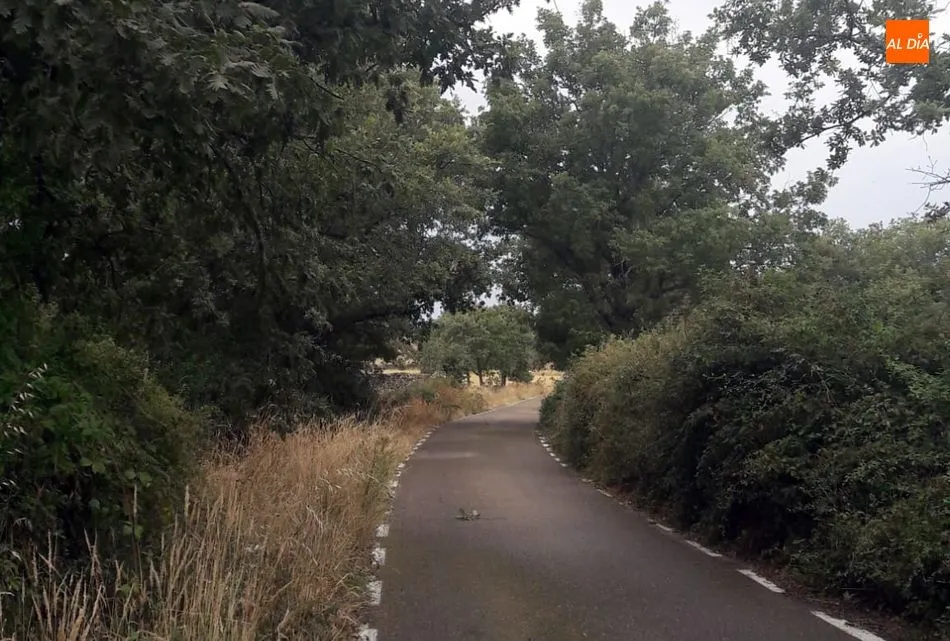 Foto 2 - El Ayuntamiento de Saldeana se olvida del tramo de carretera que los une con Barreras  