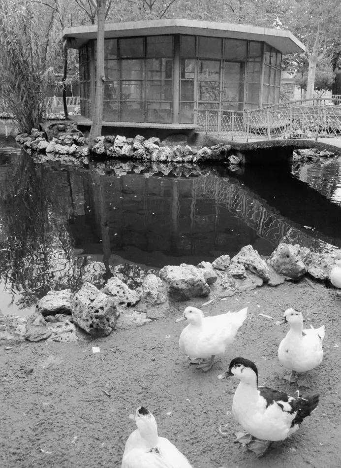 Foto 2 - El origen del parque de la Alamedilla