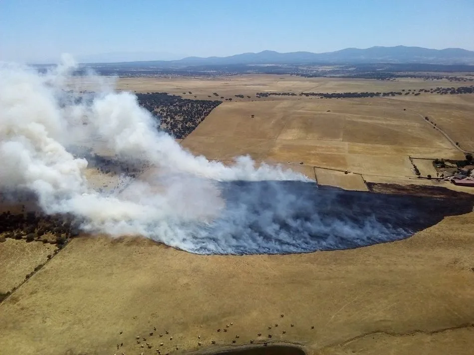 imagen aérea del incendio en Sanchón de la Sagrada - Foto: @naturalezacyl