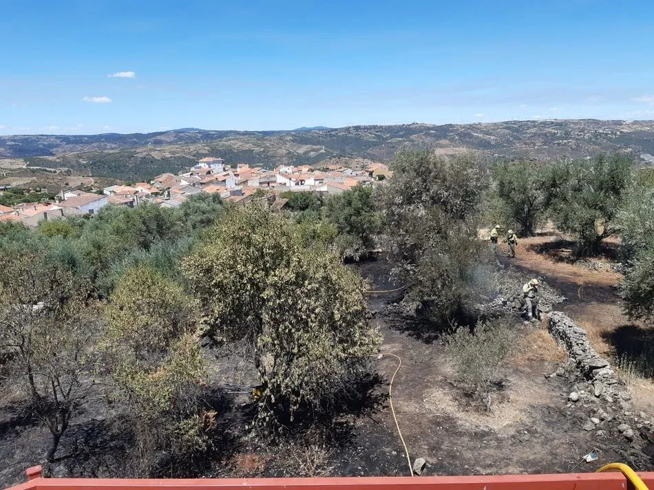 Foto 2 - Declarado un incendio en Villarino en las proximidades del casco urbano  