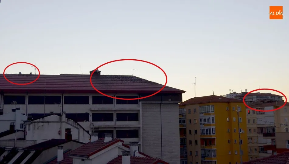 Tejados de edificios situados alrededor del parque municipal de La Corredera