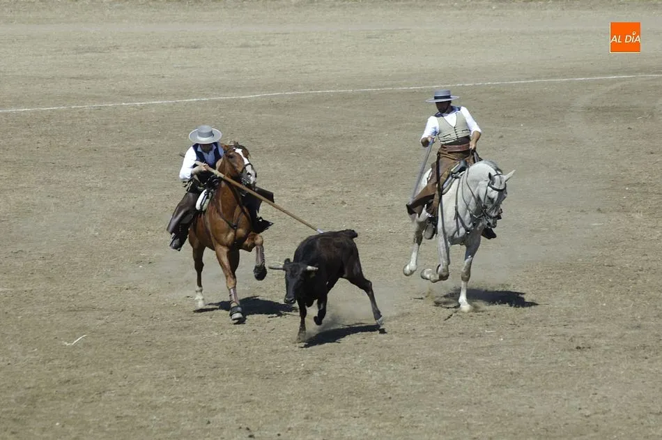Foto 10 - Entretenida jornada de apertura del Concurso de Acoso y Derribo con 32 colleras en liza  
