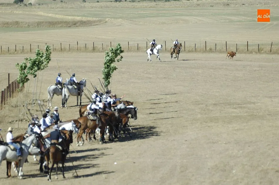 Foto 5 - Entretenida jornada de apertura del Concurso de Acoso y Derribo con 32 colleras en liza  