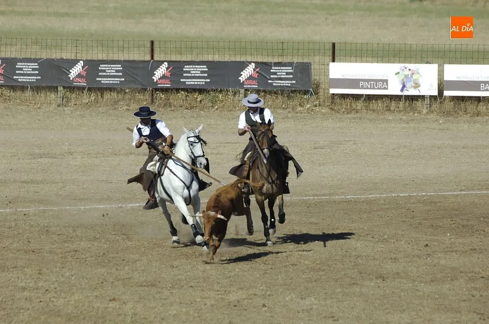 Foto 4 - Entretenida jornada de apertura del Concurso de Acoso y Derribo con 32 colleras en liza  
