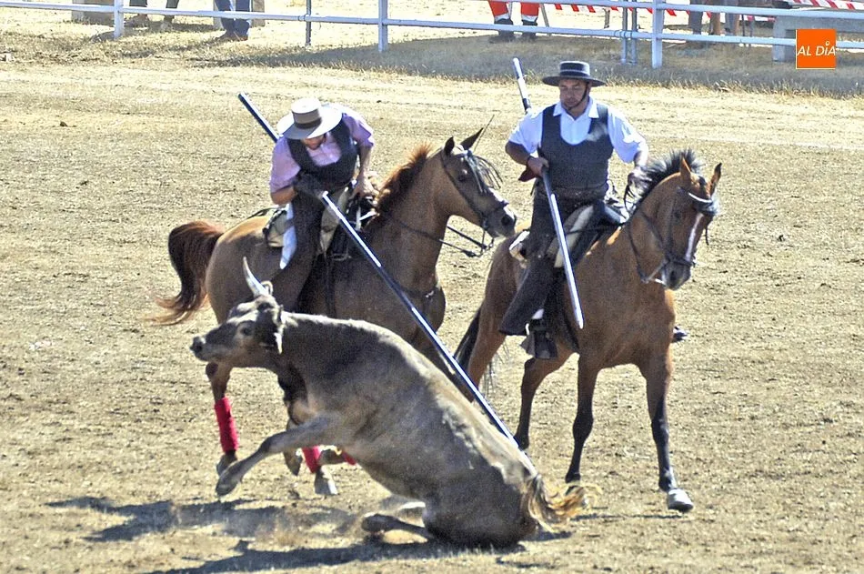 Foto 10 - La victoria en el Concurso de Acoso y Derribo 2020 se va para Portugal  