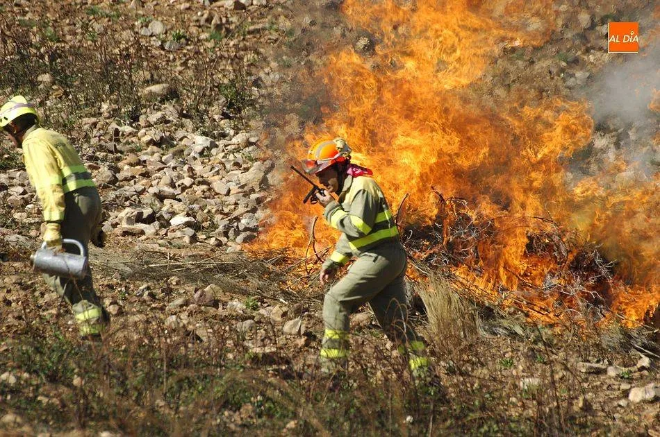El fuego ha arrasado más de 21.000 hectáreas en todo el país hasta el 26 de junio, un 62% menos...