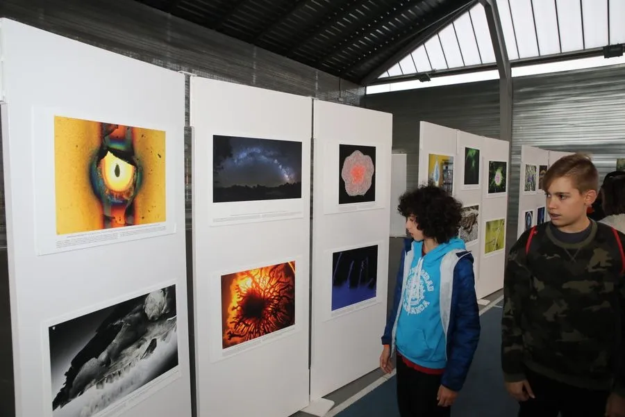 Programa Jóvenes despiertos