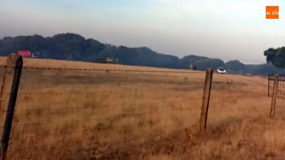 Foto 2 - Un nuevo incendio arrasa 100 hect&aacute;reas de pasto con arbolado en Cerralbo