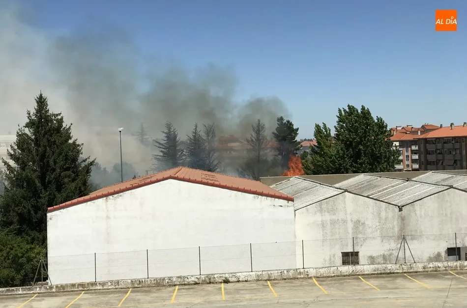 Foto 4 - Alarma en una residencia de Santa Marta por el incendio de un poste de luz