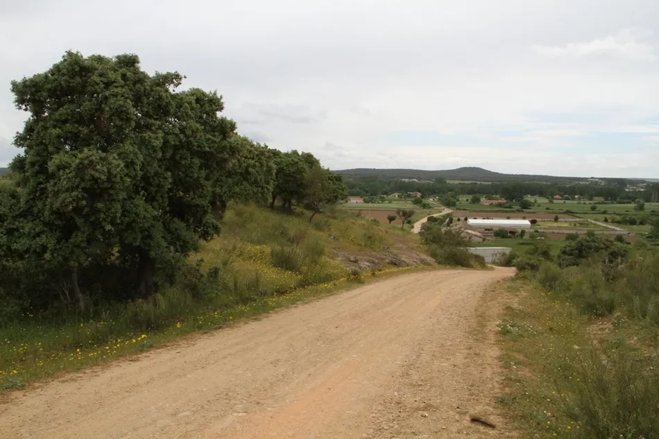 Foto 8 - Acondicionado, doblando la anchura de la calzada, el camino del Cordel de las Vacas  