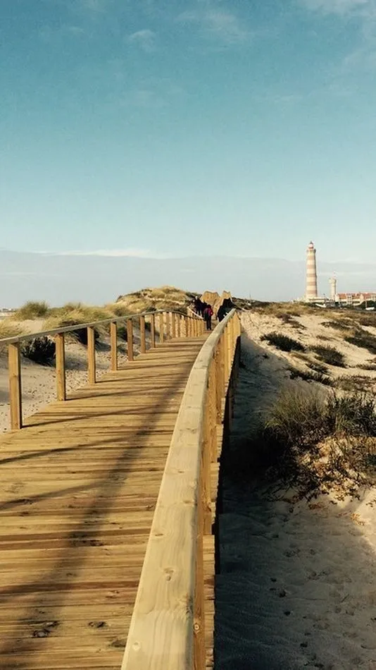 Foto 2 - El cintur&oacute;n dunar de las playas de Barra y Costa Nova ser&aacute; objeto de obras de recuperaci&oacute;n  