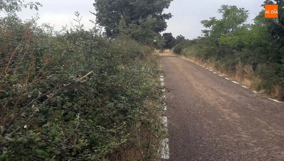 El alcalde asegura que actuarán en breve en la carretera a Barreras en la medida de las posibilidades del Ayuntamiento
