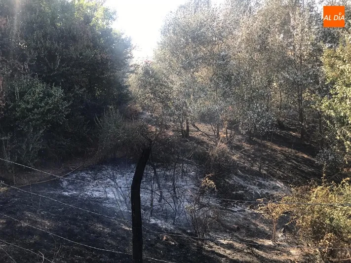 Foto 4 - Un espectacular incendio se queda a las puertas de la iglesia parroquial de Turra de Alba