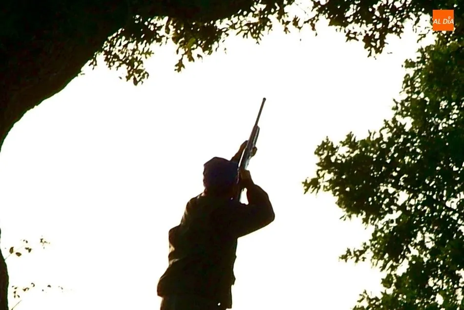 Los aficionados a la caza podrán disfrutar de la media veda a partir del 15 de agosto / CORRAL