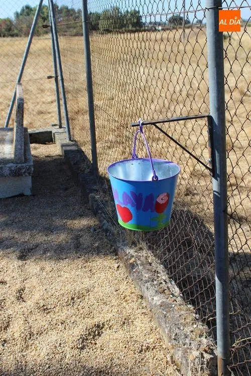 Foto 6 - Los ni&ntilde;os de Yecla de Yeltes conocen de primera mano el concepto del reciclado  
