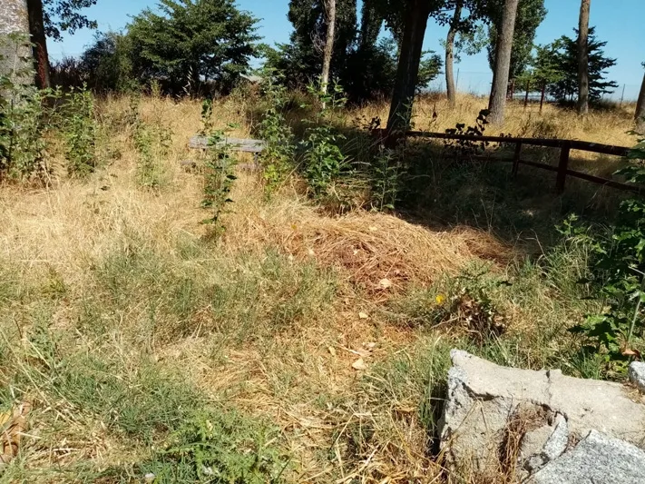 Foto 3 - El PP denuncia la situaci&oacute;n de suciedad y el riesgo de incendio en el parque El Inestal