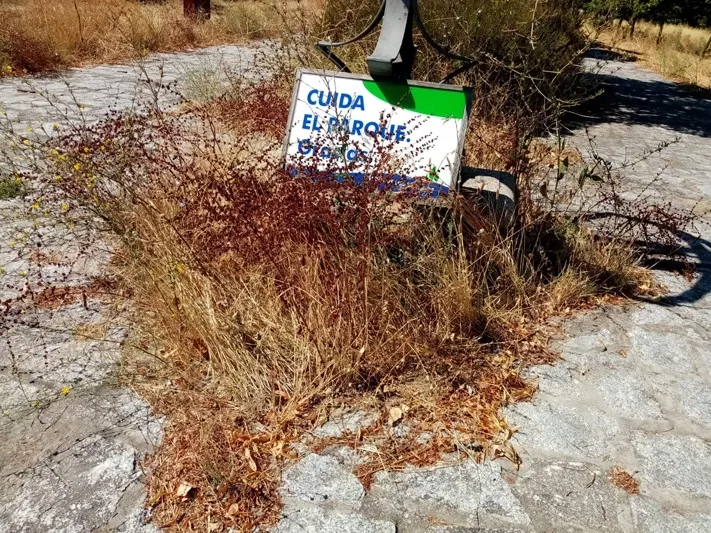 Foto 2 - El PP denuncia la situaci&oacute;n de suciedad y el riesgo de incendio en el parque El Inestal
