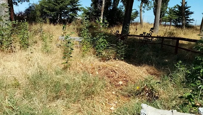 Imagen del parque El Inestal. PP