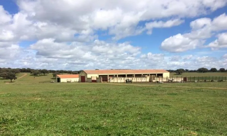 El programa Vive la Dehesa se desarrolla en la Finca Castro Enríquez