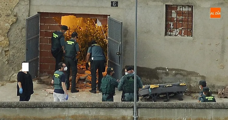 Foto 4 - La Guardia Civil halla una plantaci&oacute;n de marihuana en una redada en el barrio de El Puente  