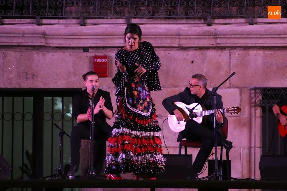 Foto 7 - Lita Blanco y su cuadro flamenco deja la &lsquo;Esencia&rsquo; en Vitigudino  