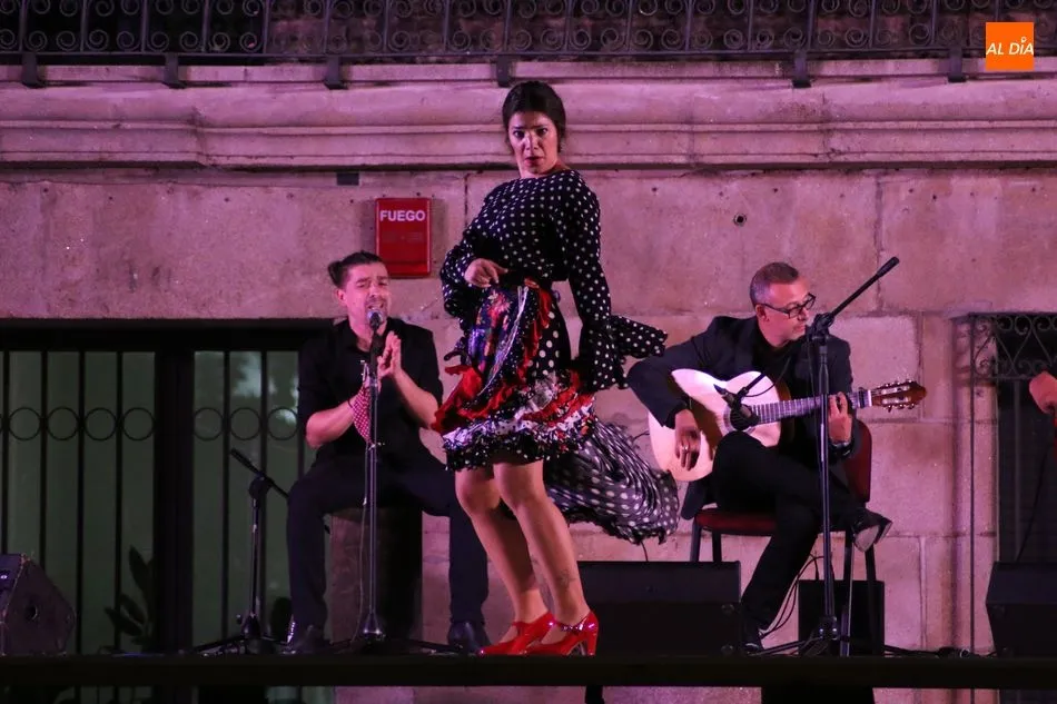 Foto 6 - Lita Blanco y su cuadro flamenco deja la &lsquo;Esencia&rsquo; en Vitigudino  