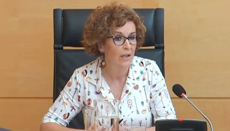 La directora general de Salud Pública de la Junta de Castilla y León, Carmen Pacheco. Foto EP