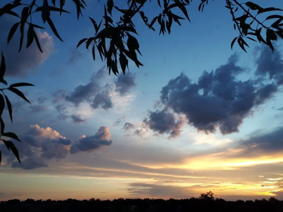 Foto 2 - Las luces del atardecer  