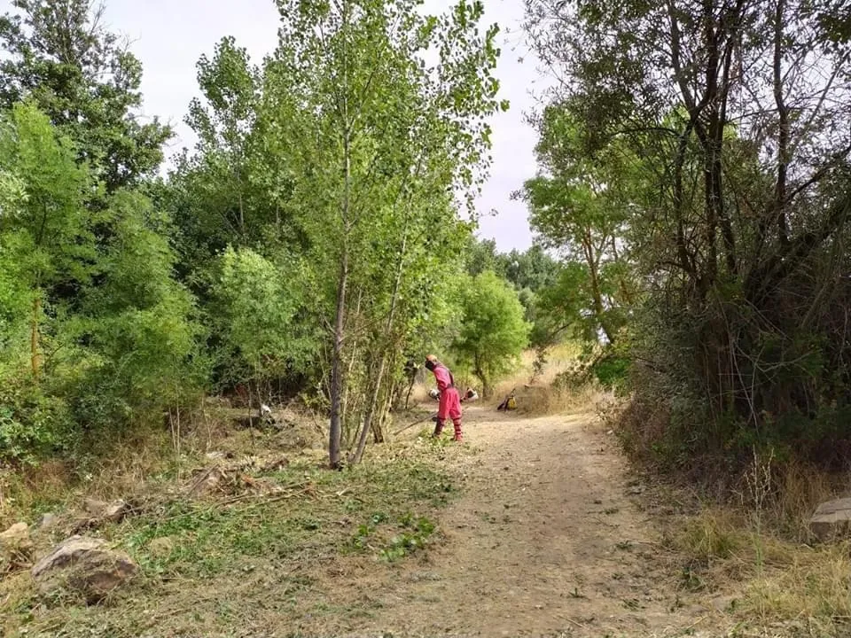 Foto 6 - La Diputaci&oacute;n de Salamanca limpia la Ace&ntilde;a del Quique y sus inmediaciones