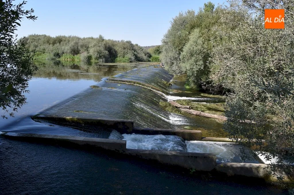 Foto 5 - La Diputaci&oacute;n de Salamanca limpia la Ace&ntilde;a del Quique y sus inmediaciones