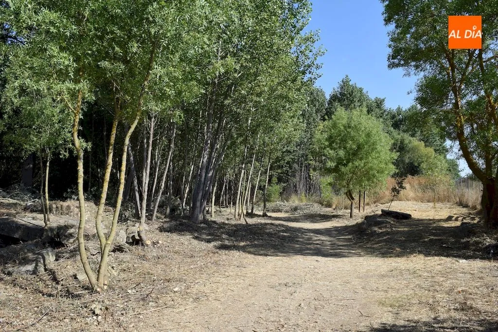 Foto 3 - La Diputaci&oacute;n de Salamanca limpia la Ace&ntilde;a del Quique y sus inmediaciones
