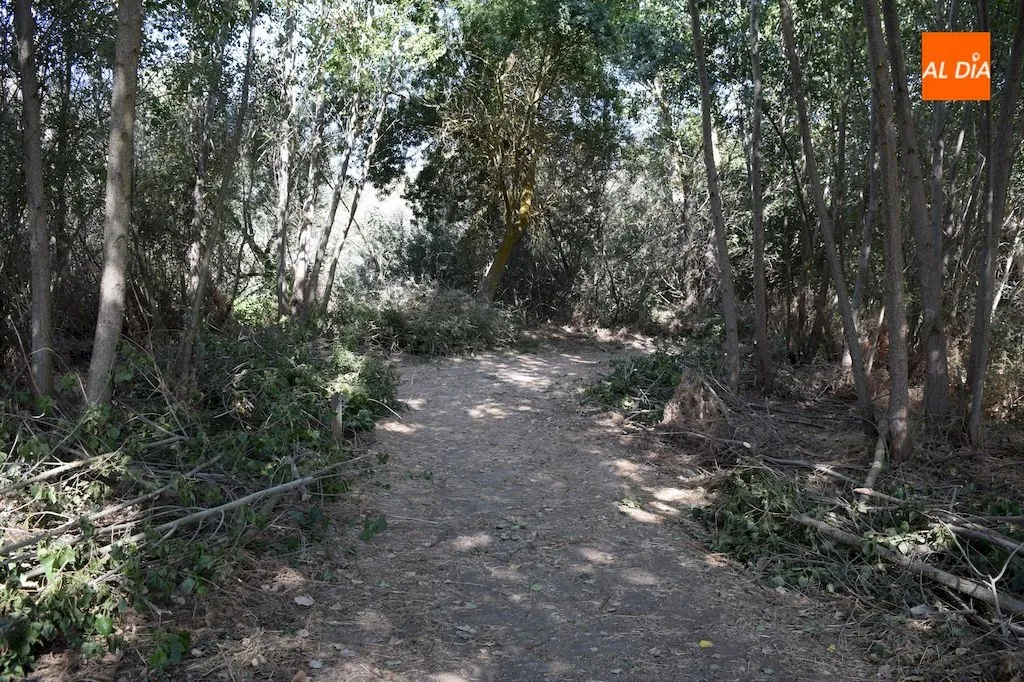Foto 2 - La Diputaci&oacute;n de Salamanca limpia la Ace&ntilde;a del Quique y sus inmediaciones