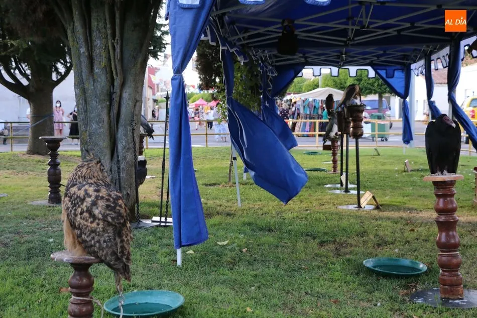 Foto 8 - Buena afluencia de p&uacute;blico en la Feria Medieval de Vitigudino  