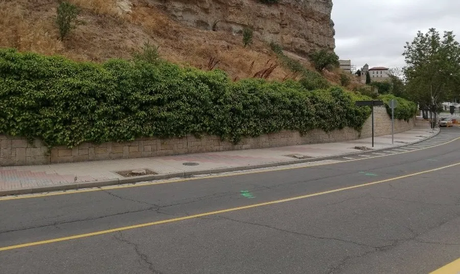 Foto 2 - La construcci&oacute;n de un nueva glorieta de acceso al hospital provoca la tala de &aacute;rboles en el paseo ...