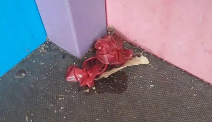 Foto 2 - Hallados varios preservativos usados en los juegos del parque de la Avenida de Salamanca  