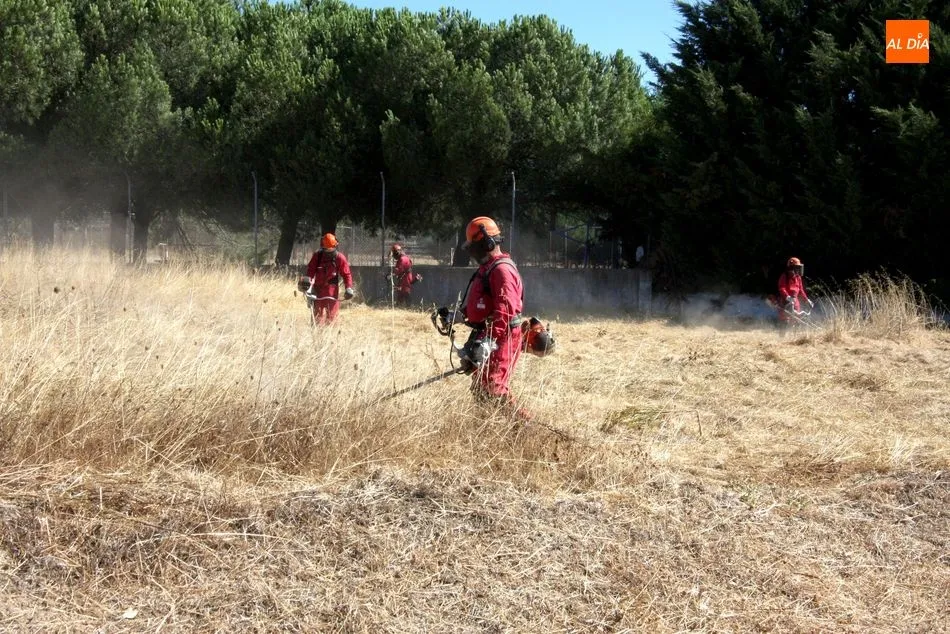 Foto 9 - Operarios de la Diputaci&oacute;n proceden a la limpieza arbustiva del entorno del casco urbano de...