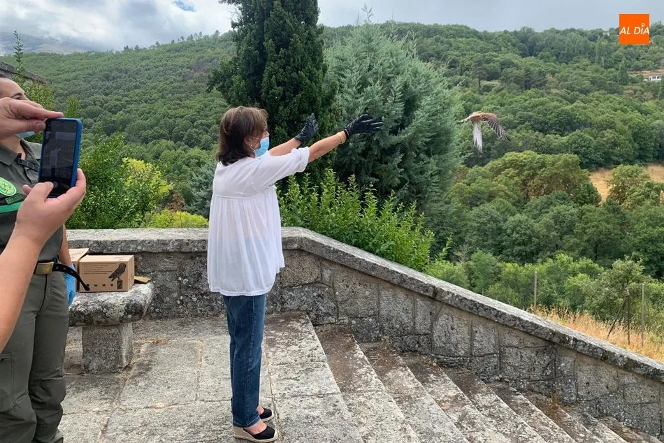 Foto 3 - Cinco cern&iacute;calos primilla son devueltos a la naturaleza en Monte Mario